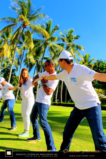 Experiencias transformadoras de Team Building en LATAM | Talleres de Cuerdas Bajas de alto impacto